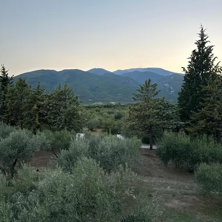 Mavitaplace Olympos Olive Country House Leptokaria Exteriér fotografie