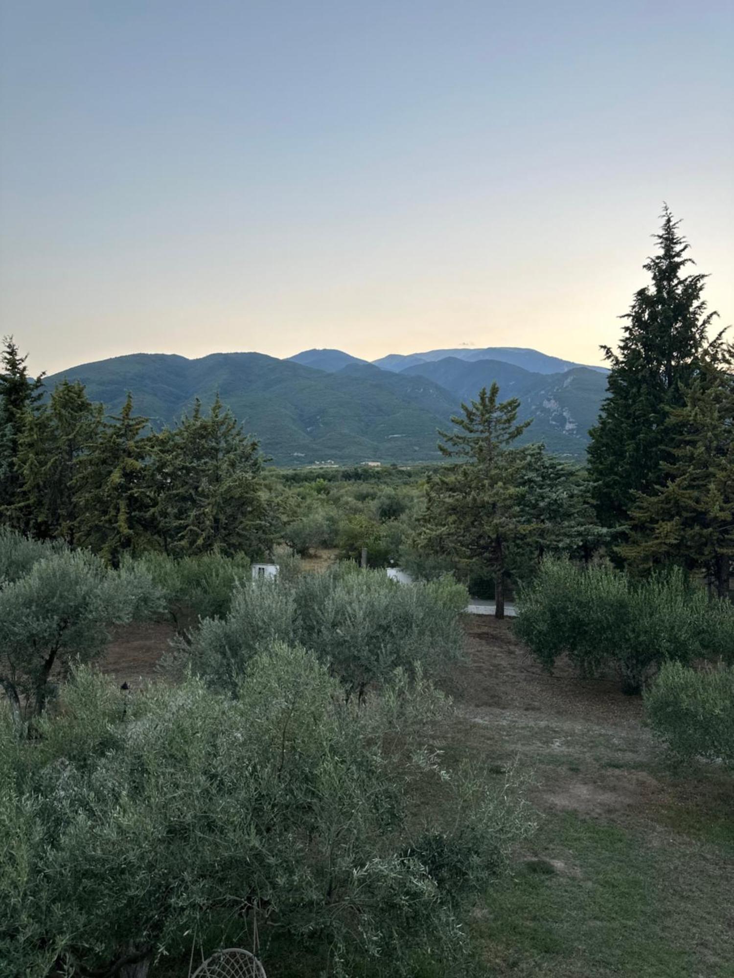 Mavitaplace Olympos Olive Leptokaria