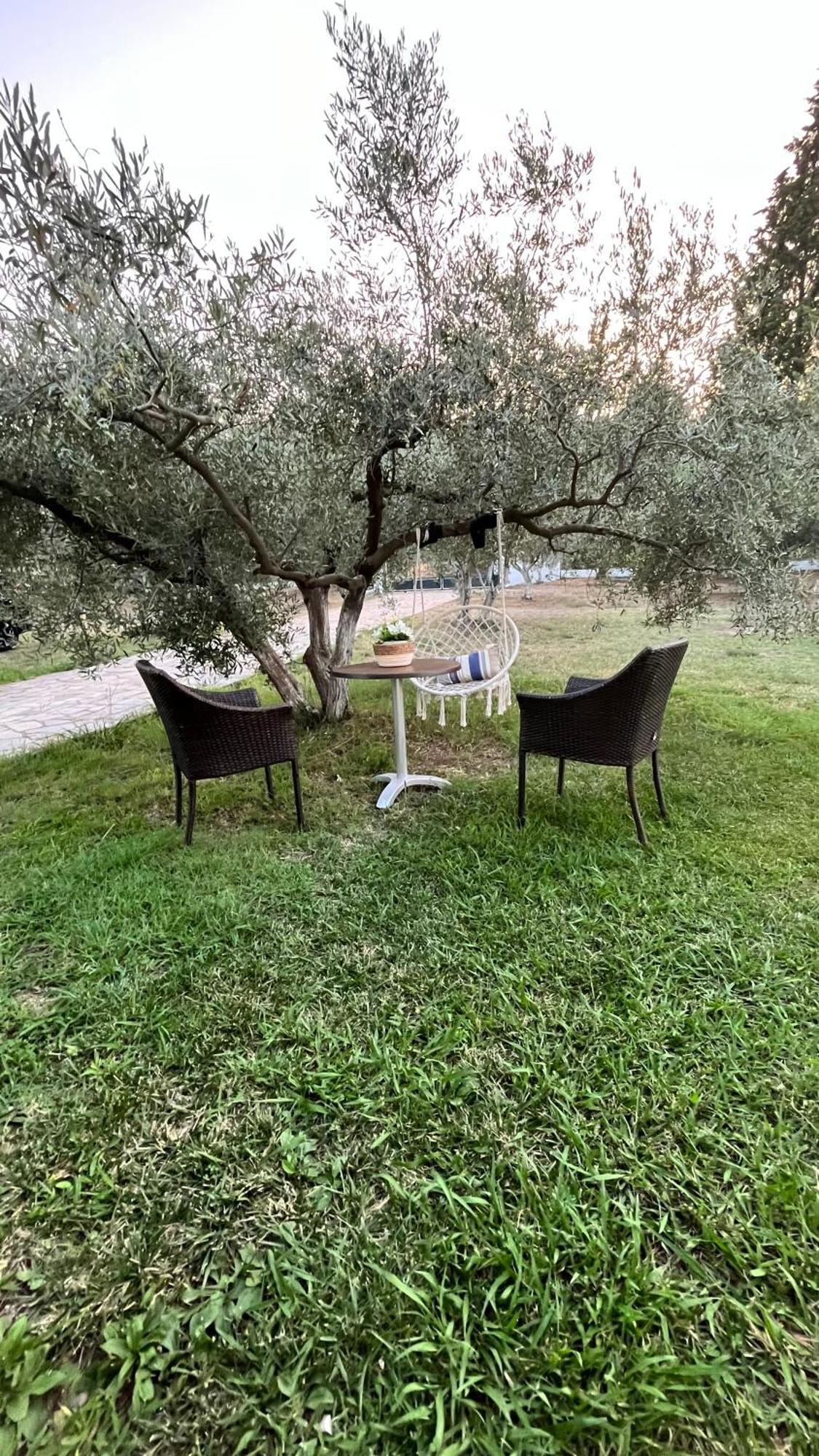 Prázdninový dům Mavitaplace Olympos Olive