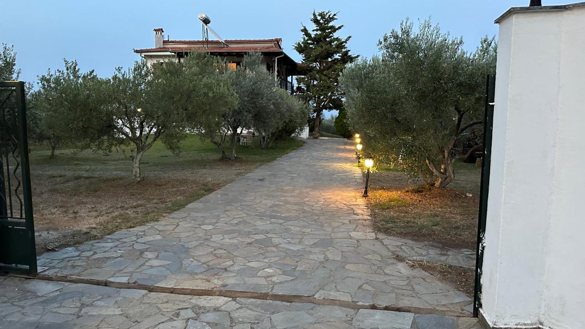 Mavitaplace Olympos Olive Hébergement de vacances *