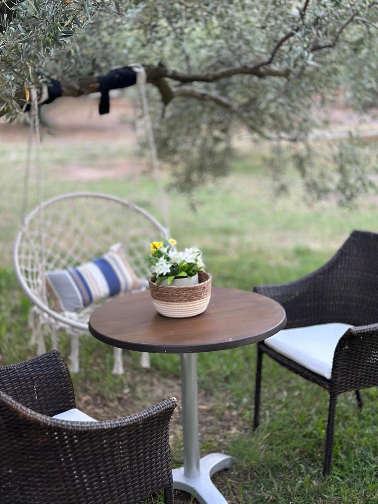 Hébergement de vacances Mavitaplace Olympos Olive Leptokaryá