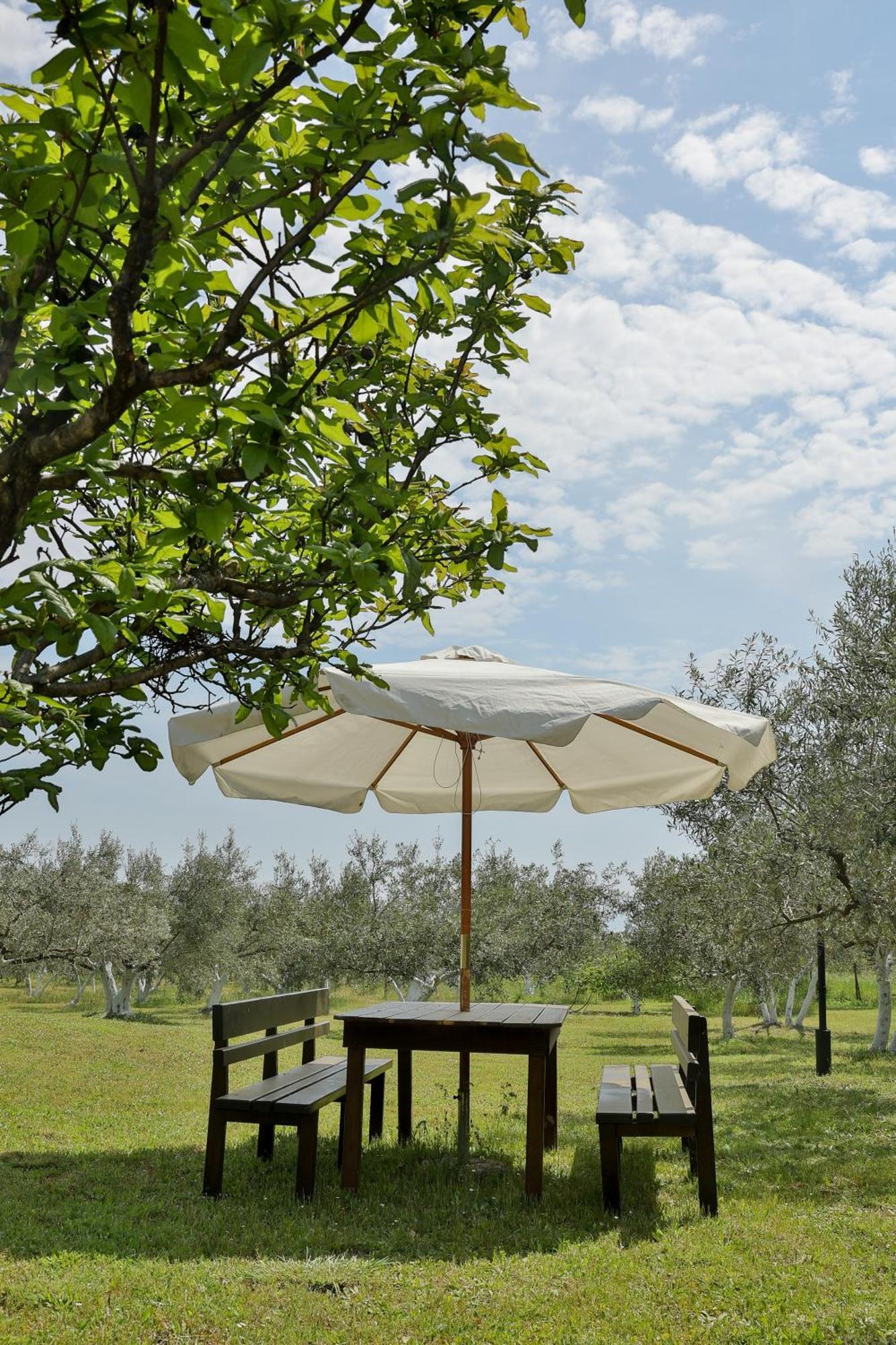 Hébergement de vacances Mavitaplace Olympos Olive Leptokaryá