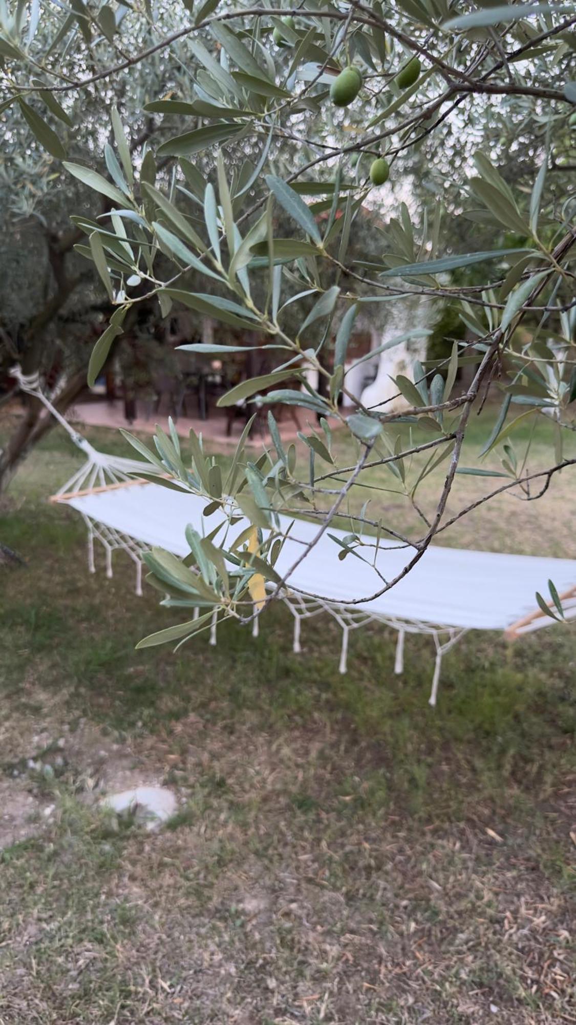 Mavitaplace Olympos Olive