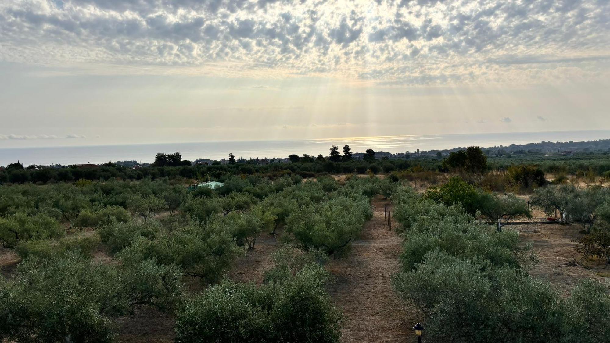 Prázdninový dům Mavitaplace Olympos Olive